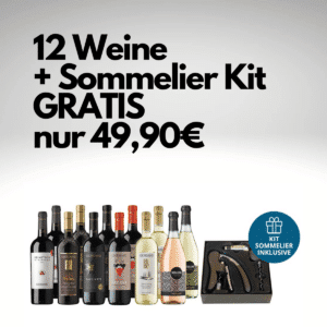 12 ausgewählte Weine + Sommelier-Set von L'Atelier du Vin im Wert von über 100€ 🍷 für 49,90€ inkl. Versand