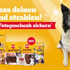 Für 15€ Pedigree kaufen und gratis Fotogeschenk sichern