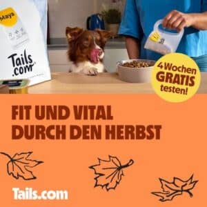 🐶🍖 GRATIS: 4 Wochen individuelles Futter für euren Hund testen (nur 2€ Versandkosten)