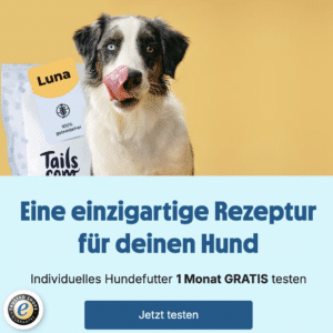 🐶🍖 GRATIS: 4 Wochen individuelles Futter für euren Hund testen (nur 4€ Versandkosten)