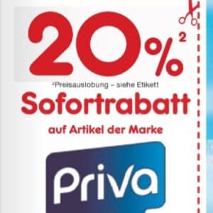 20% Rabatt auf Priva Produkte 🪣🧹🧽 mit Coupon bei Netto MD