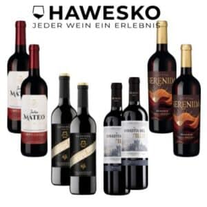 🍷 Weinpaket mit 6 spanischen Rotweinen + 2 Zwiesel Gläsern für 39,90€