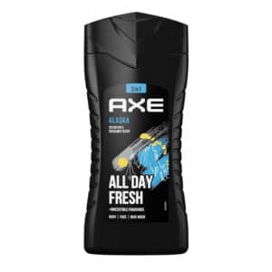 Axe 3-in-1 Duschgel & Shampoo Alaska 250ml für 1,76€(statt 2,54€)