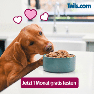 🐶🍖 GRATIS: 4 Wochen individuelles Futter für euren Hund testen (nur 2€ Versandkosten)