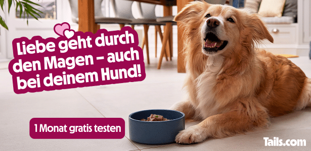 Tails Hundefutter