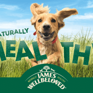 JAMES WELLBELOVED Futter gratis testen (max. 15€)