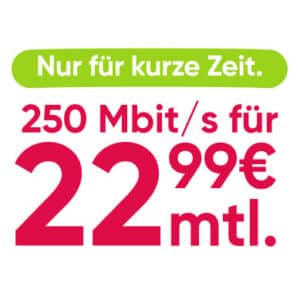 🤑 200€ Bonus für PYÜR 250 Mbit/s Leitung 😎 für dauerhafte 22,99€ mtl.