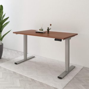 FlexiSpot EC5 höhenverstellbarer Schreibtisch für 312,99€ (statt 480€)