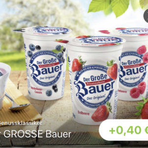 GRATIS „Der große Bauer Yoghurt“ dank reebate