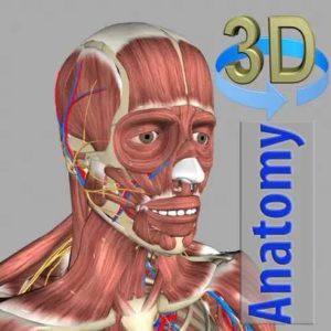 3D-Anatomie kostenlos für iOS, iPadOS, macOS