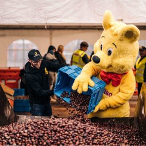 🌰 Haribo Kastanienaktion 2023 (Lokal: 53501, Grafschaft)