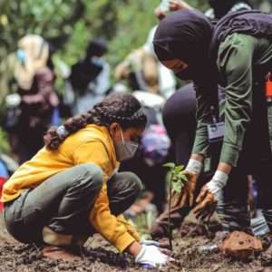 GRATIS 1 Baum kostenlos pflanzen auf moretrees.eco