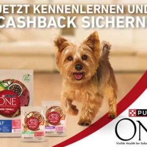 Purina ONE Mini Gratis Testen (bis zu 6€) bis zum 18.11.2023