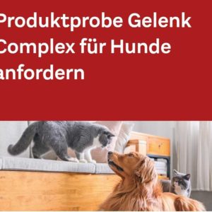 Produktprobe Gelenk Complex für Hunde kostenlos anfordern bei Doppelherz