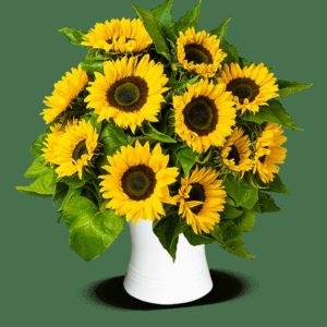 Blumenstrauß mit 15 Sonnenblumen für 24,48€