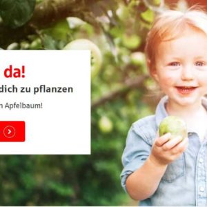 GRATIS Apfelbaum für Neugeborene von der Sparkasse Hannover (auch Nicht-Kunden!) -regional-