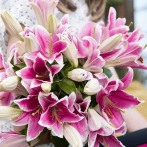 Blumeideal: Blumenstrauß mit 20 pinken Lilien für 17,99€ statt 27,99€ + 6,99€ Versand